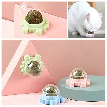 Rotatable catnip toy ball 🎱 😻