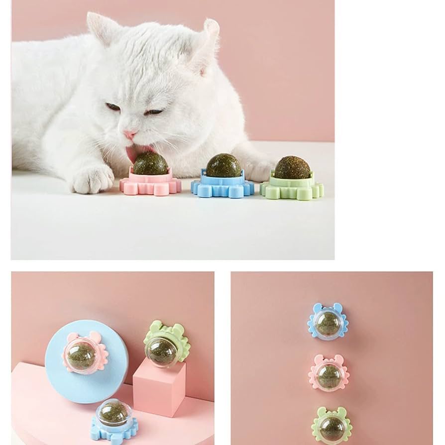 Rotatable catnip toy ball 🎱 😻