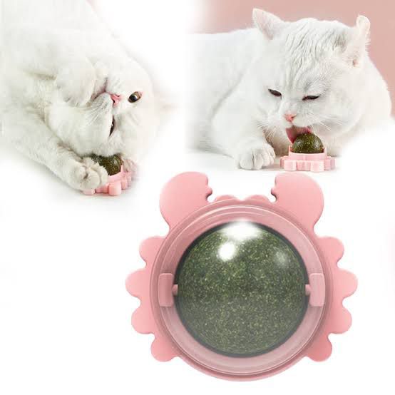 Rotatable catnip toy ball 🎱 😻
