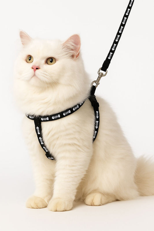 Meowchi Walk – Premium Cat Harness 🐾