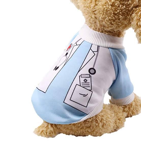 👨 Doctor Pet Sweater – For Cats