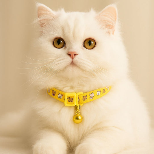 Pawtoon Pet Collars🐾