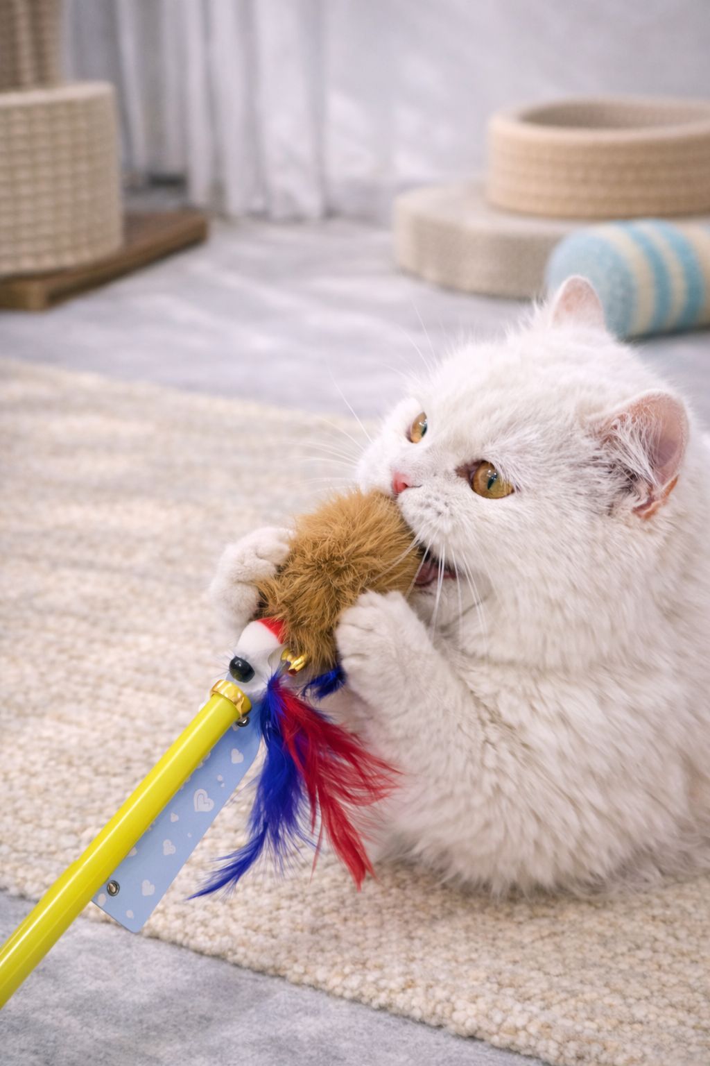 Pompom cat toy stick 🦯- 399Rs