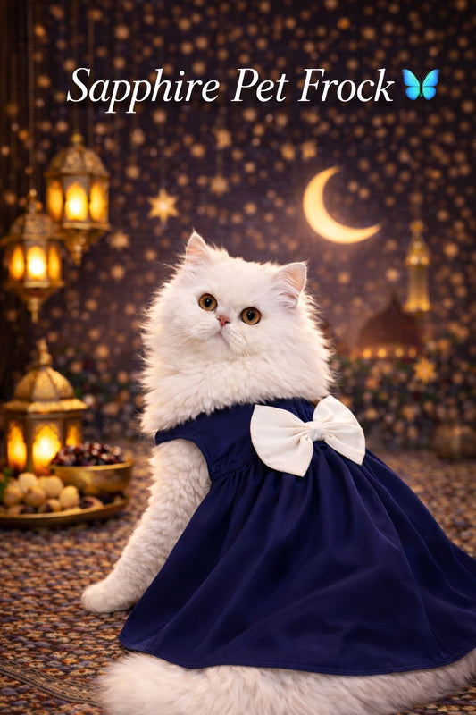 Sapphire Pet Frock 🦋