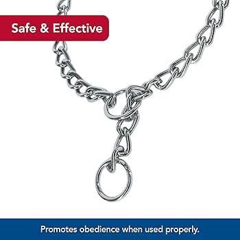 Dog Training Chain Collar