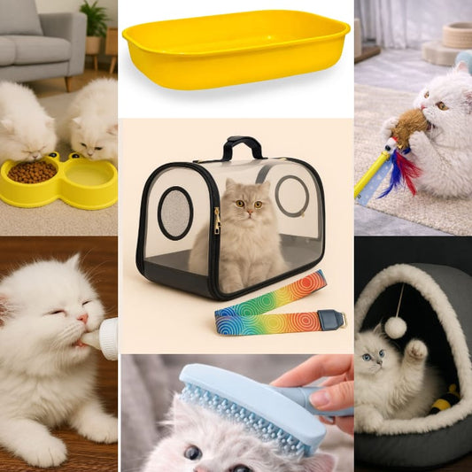 Kitten Starter Deal