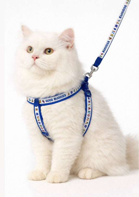 Good buddies harness