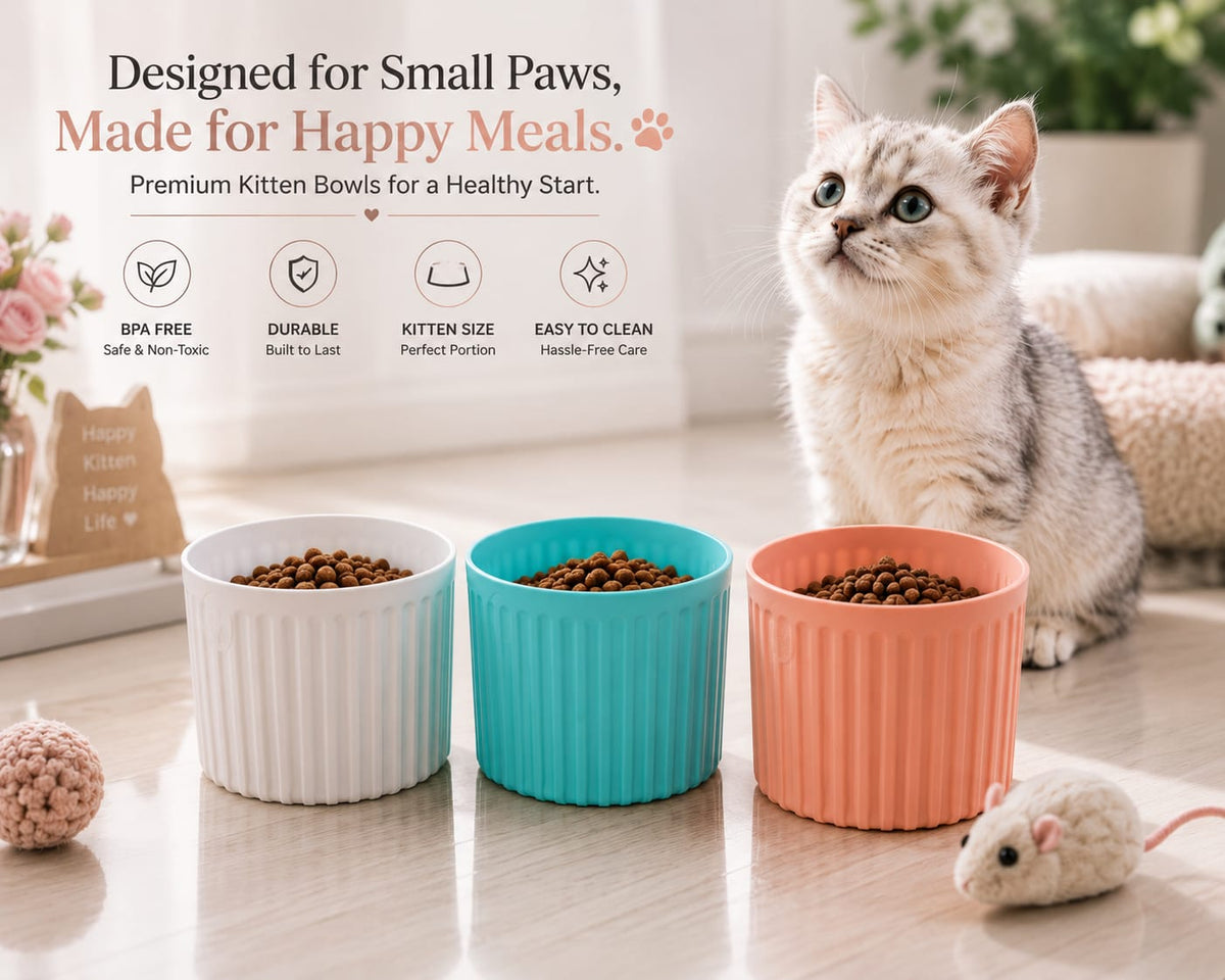 Purr Bowl Kitten Edition