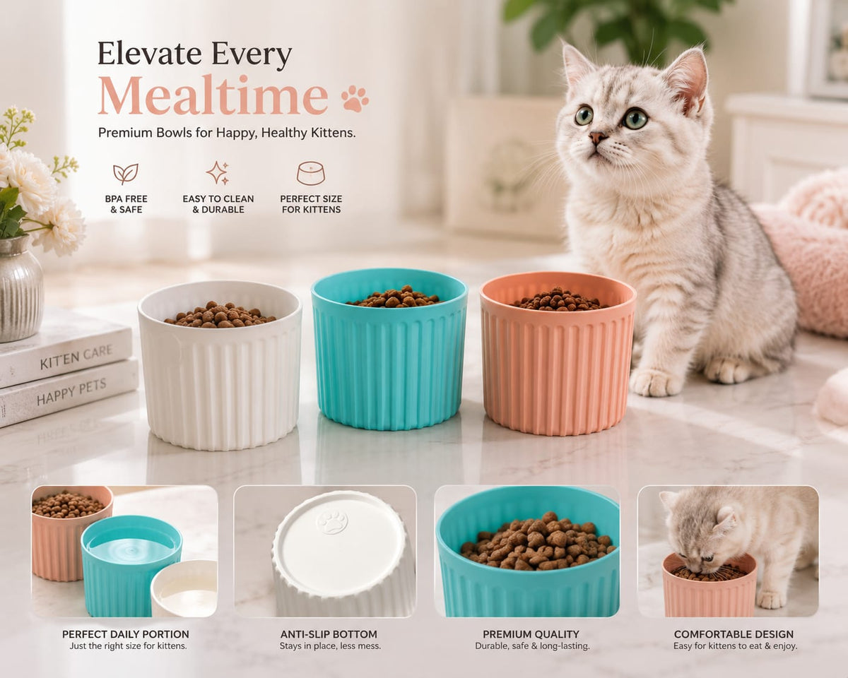 Purr Bowl Kitten Edition