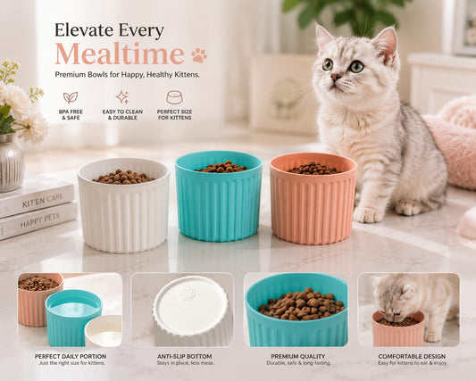 Purr Bowl Kitten Edition