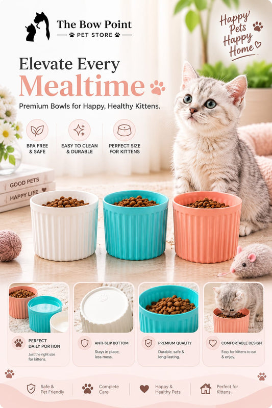 Purr Bowl Kitten Edition