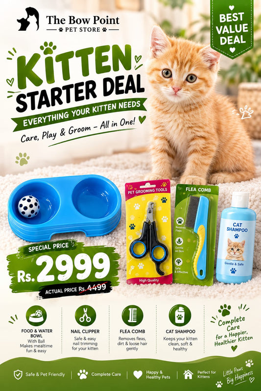 Kitten starter Deal Just 999rs