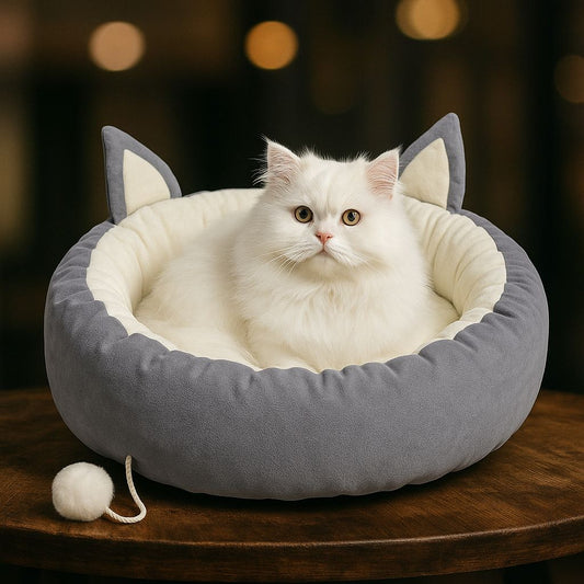 Cat Ears Pet Bed with Tail