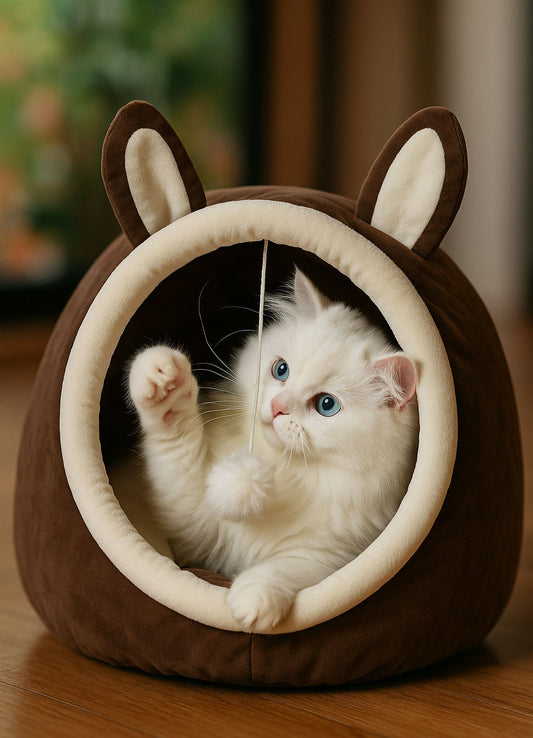 Bunny ears pet house 🐰