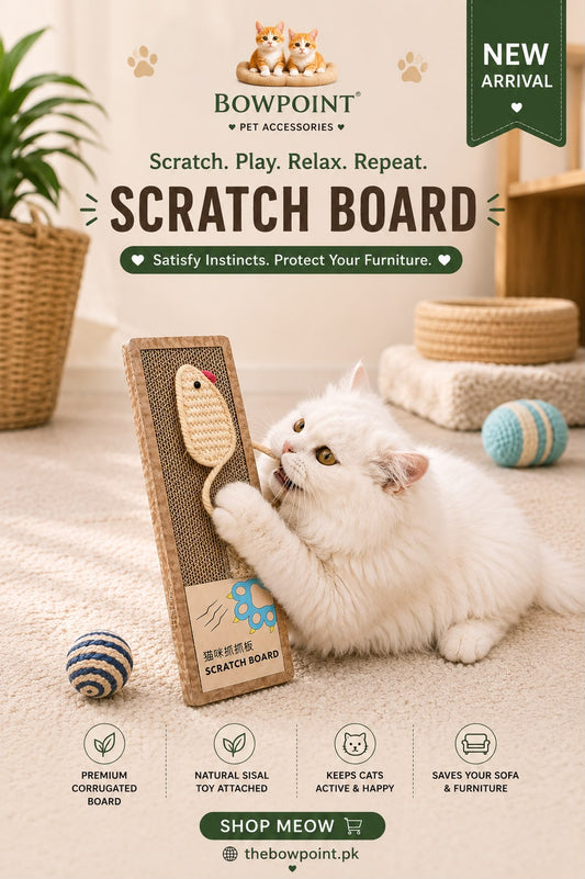 Pet scratcher - with catnip