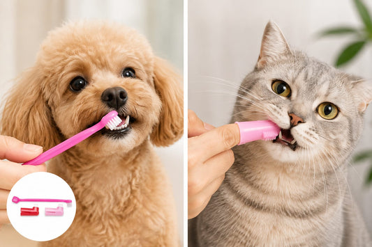 3-Piece Pet Toothbrush Kit for Dogs & Cats