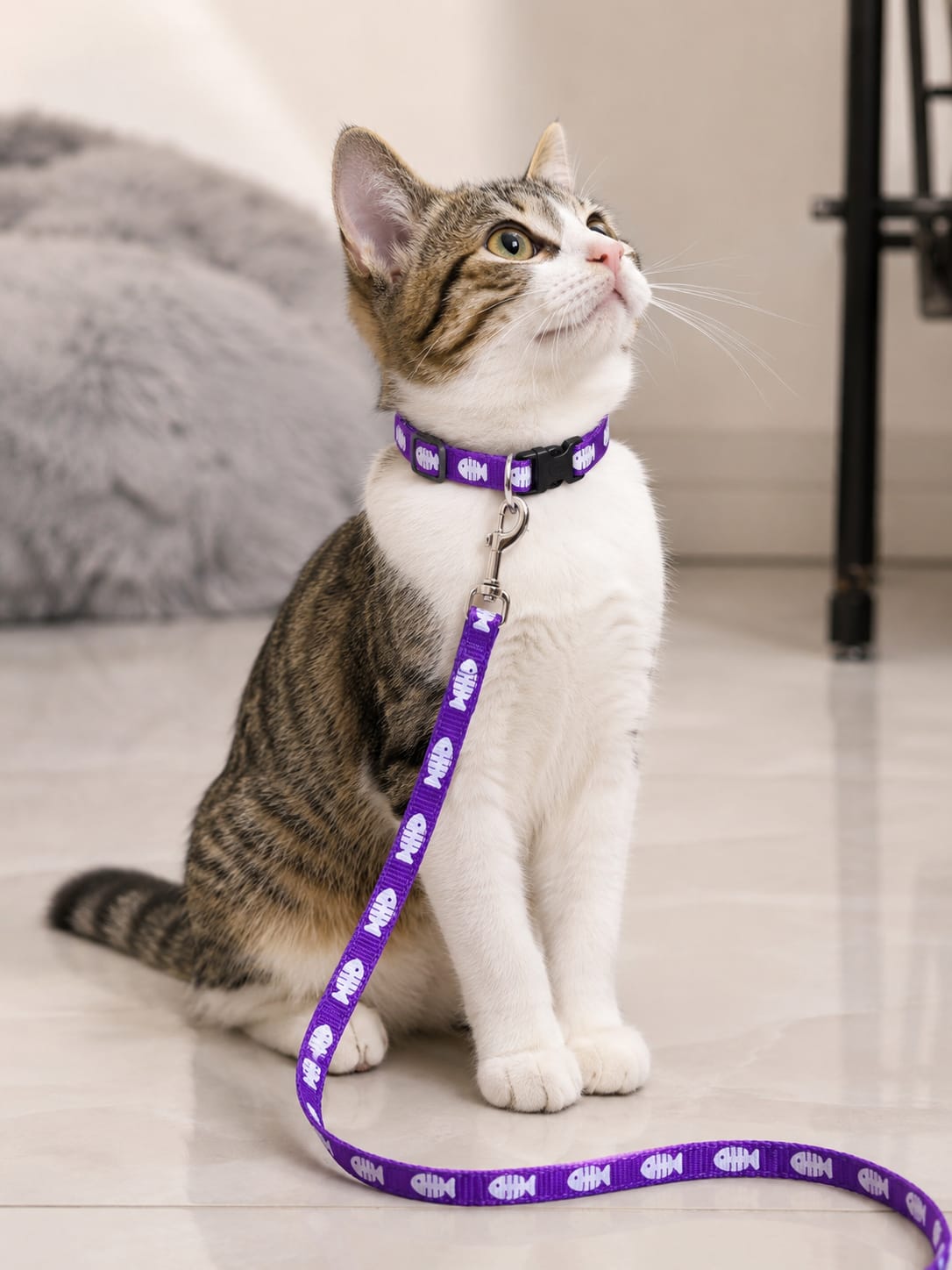 Meowchi Walk – Premium Cat collar with attached leash