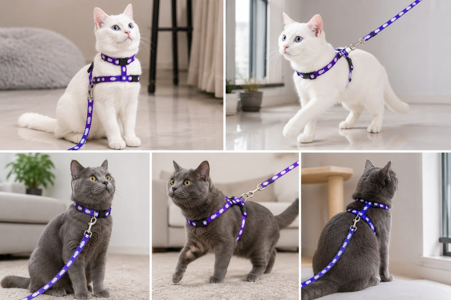 Meowchi Walk – Premium Cat collar with attached leash
