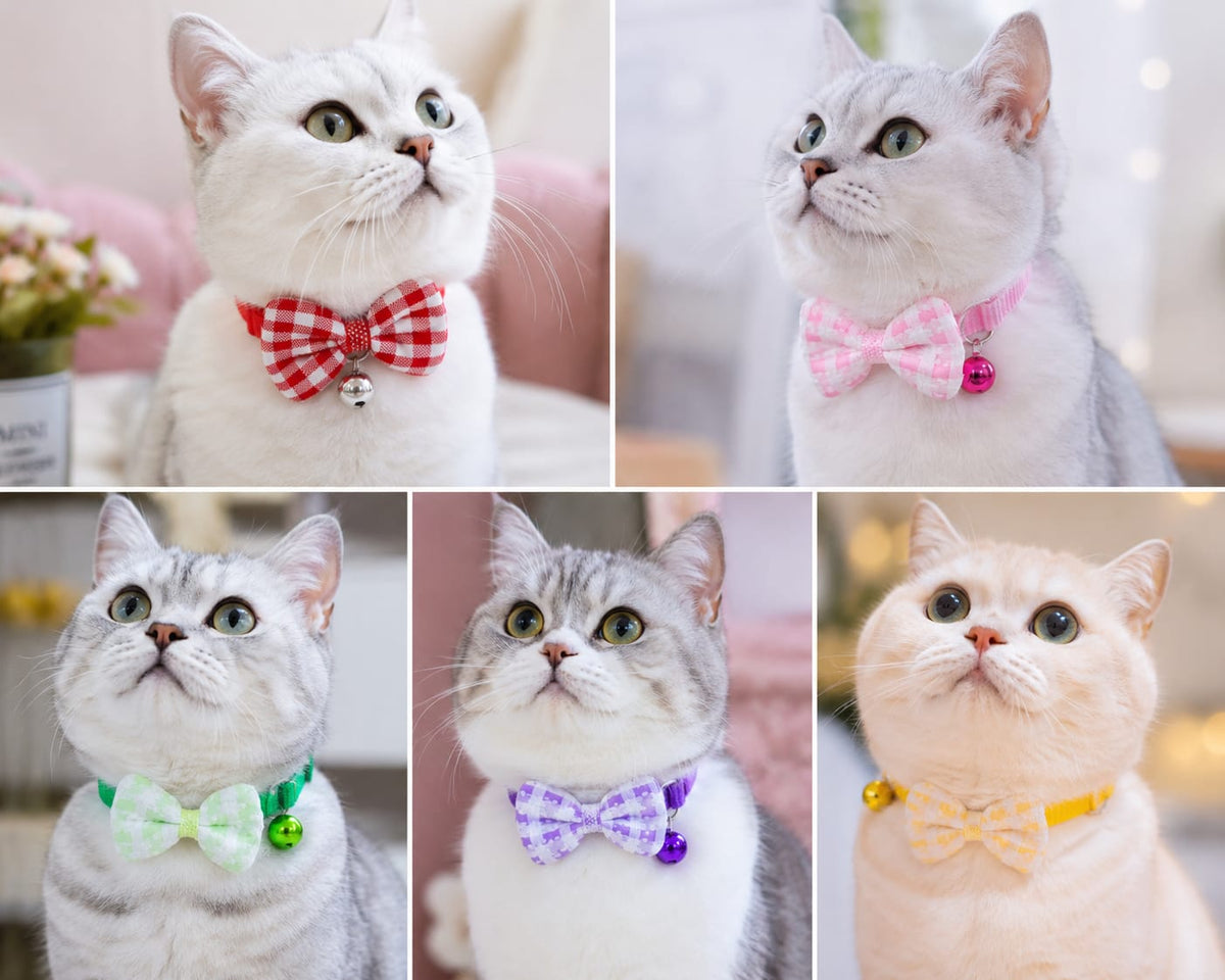 Checkered pet collar
