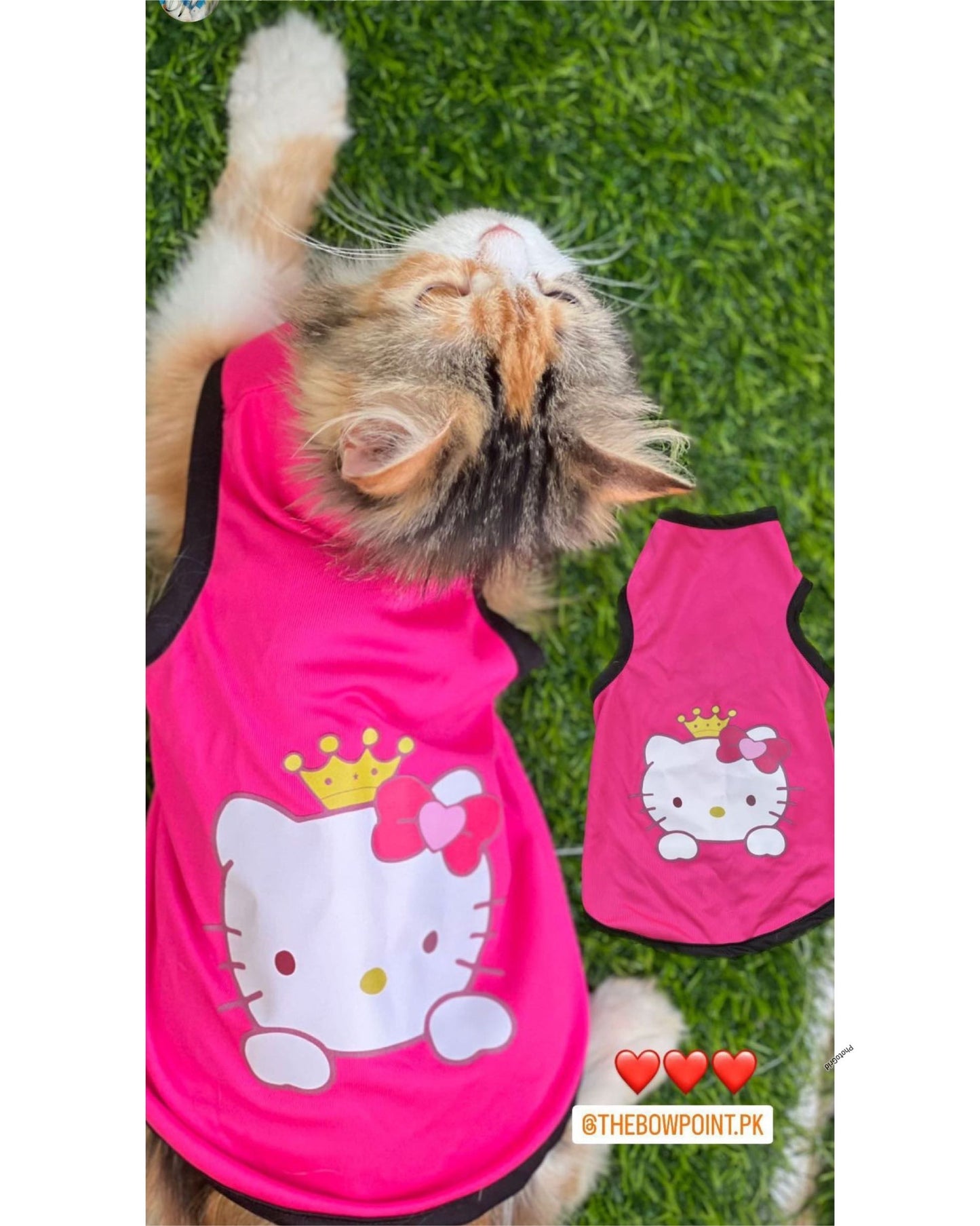 Hello Kitty Pet shirt Summer