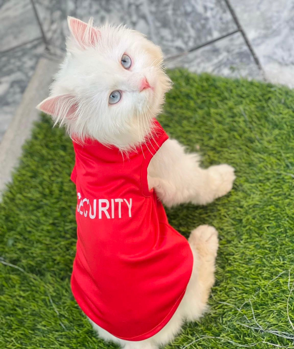 Security pet shirt - RED 🚔