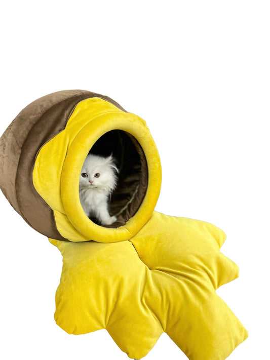 Honey jar pet house 🍯