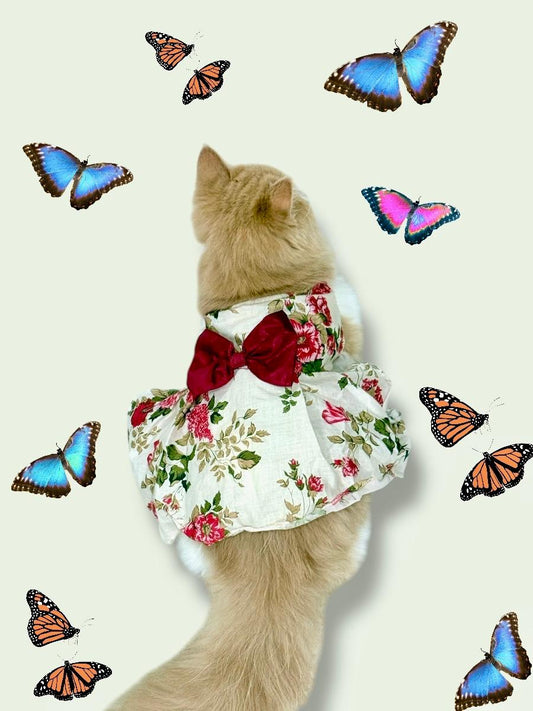 Victoria Pet Frock🌼