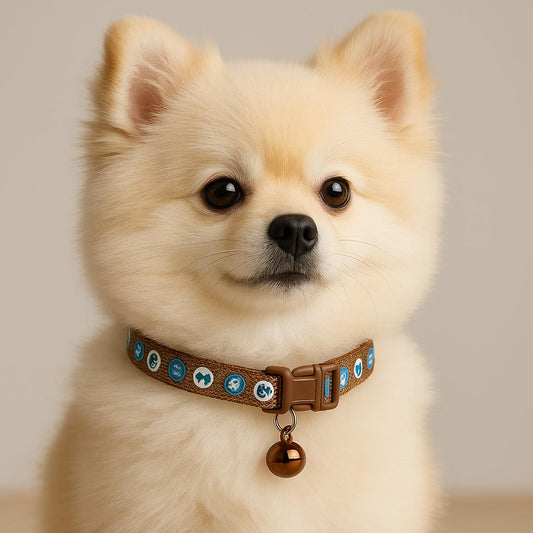 Snugglebell collars 🦴🐾