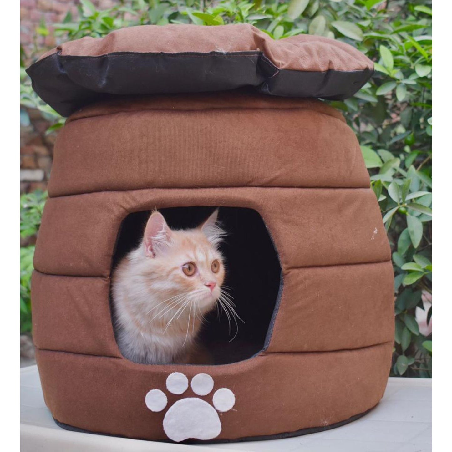 Cucoon Pet House - Convertible