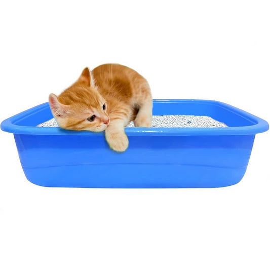 Pet Litter tray for Kittens (upto 4 months) – with Free scoop