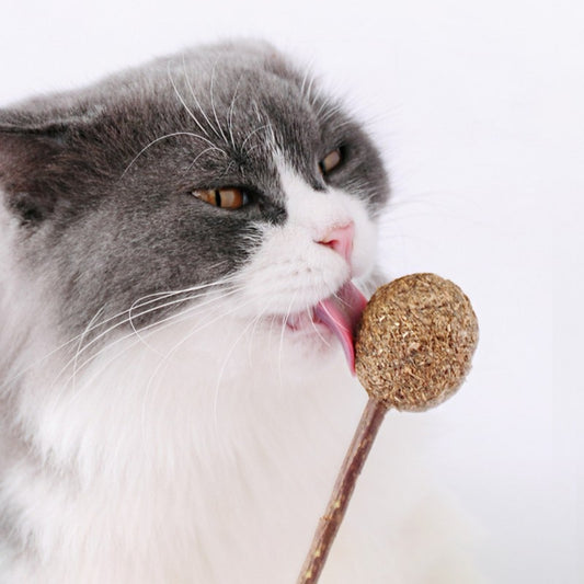 Catnip Lollipop.