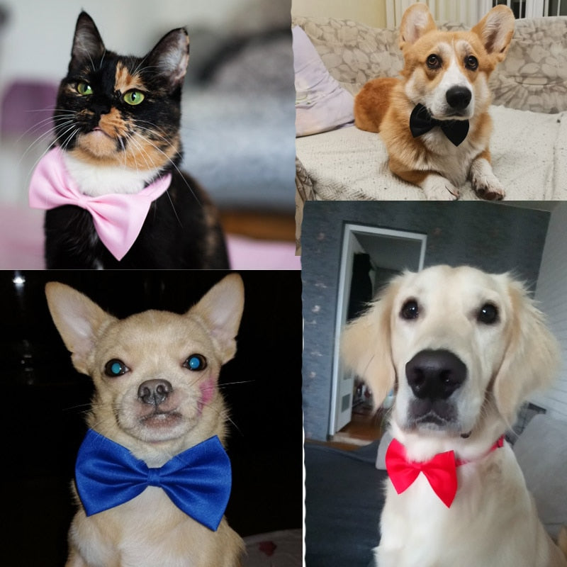 Adjustable Pet Bow