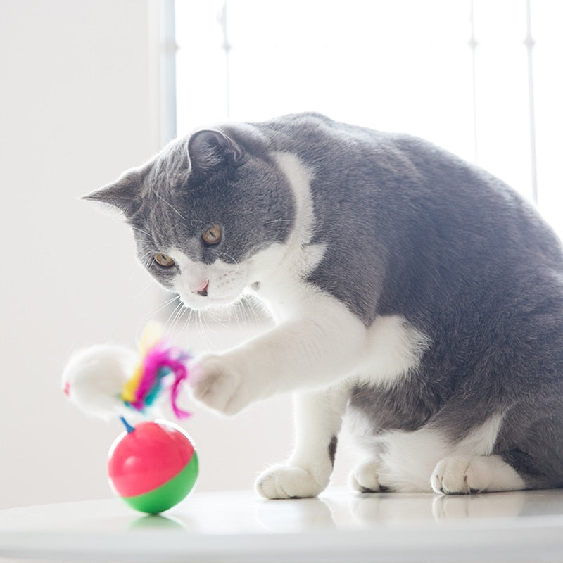 Mouse on Ball Cat Toy- Equilibrium Ball Comes Back to its Place.