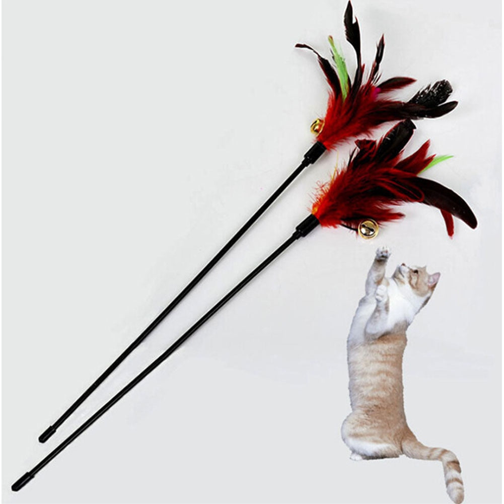 Pet toy stick Feathers bell.