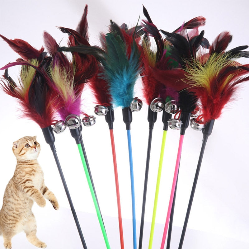 Pet toy stick Feathers bell.