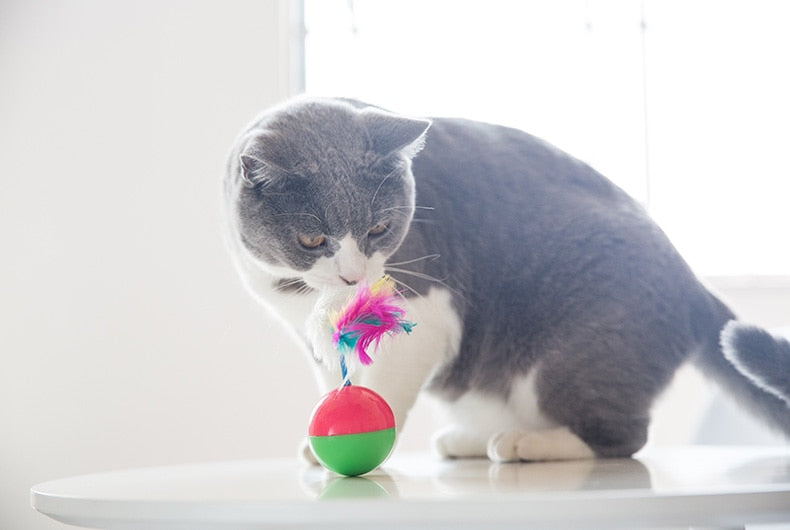 Mouse on Ball Cat Toy- Equilibrium Ball Comes Back to its Place.