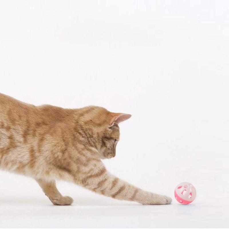 Pet toy Ball With Bell Inside