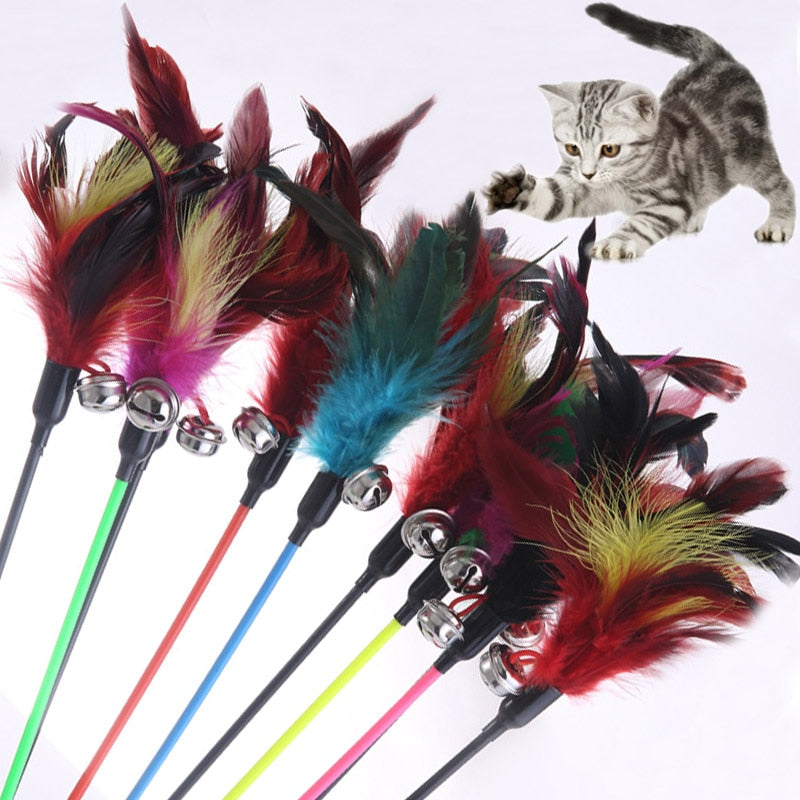 Pet toy stick Feathers bell.