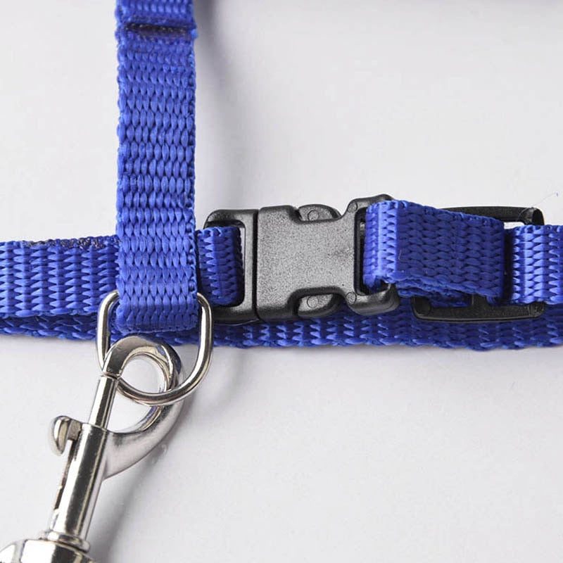 Plain Pet harness Adjustable