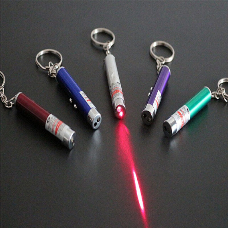 Pet Laser Light and Torch.