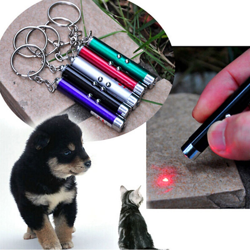 Pet Laser Light and Torch.