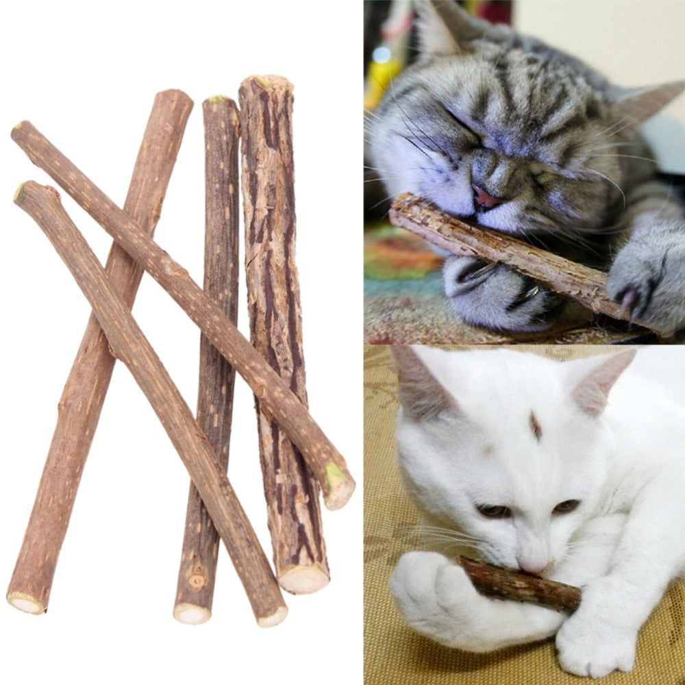 Catnip Chew Sticks (5pcs pack) – Pet toy.