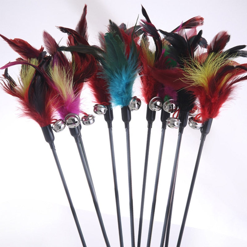 Pet toy stick Feathers bell.