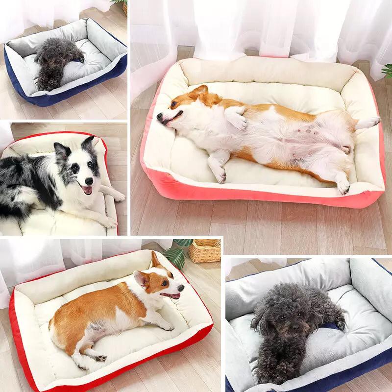 Comfy paw pet bed - XL - For cats & Small breed dogs