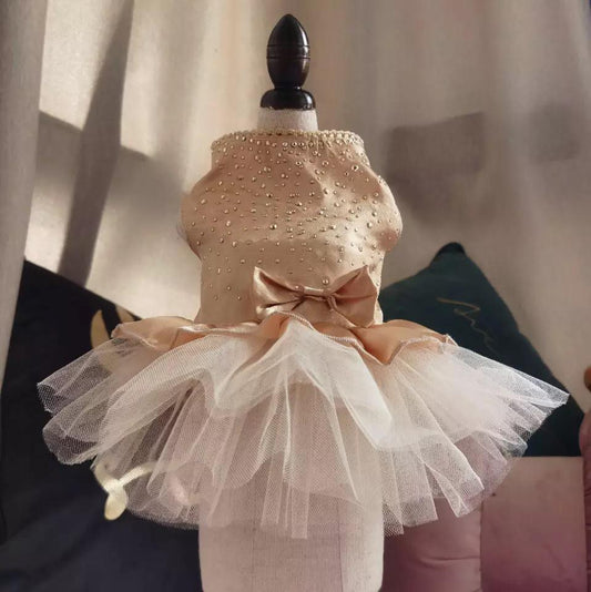 Bow and Beads Pet Frock - GOLDEN - Summer