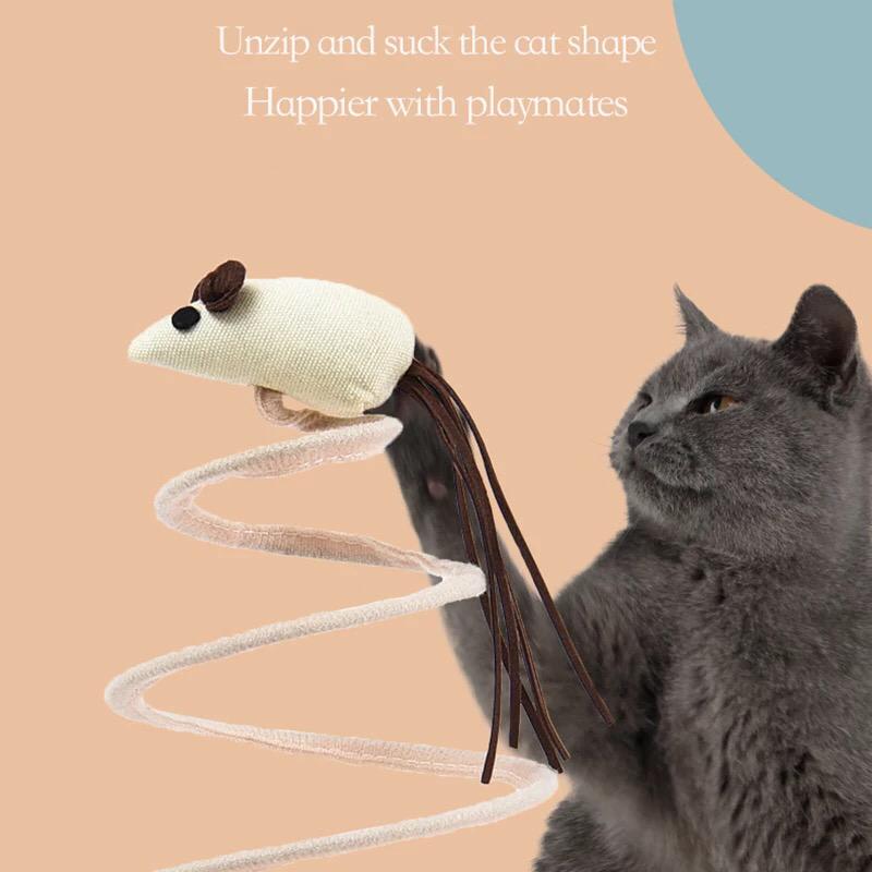 Spiral Spring Cat Toy