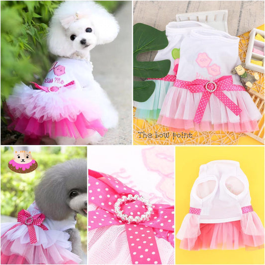 Smooch Pet Frock Summer