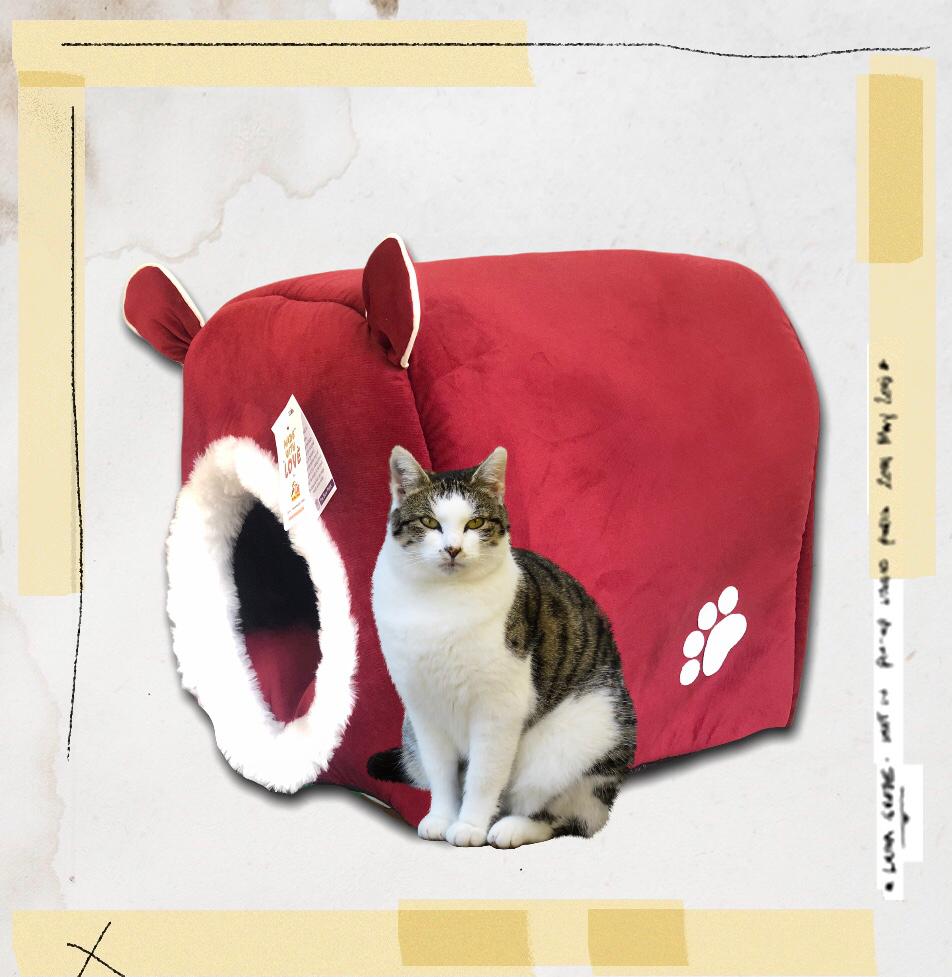 Cute ears pet house – XL – Free Shipping