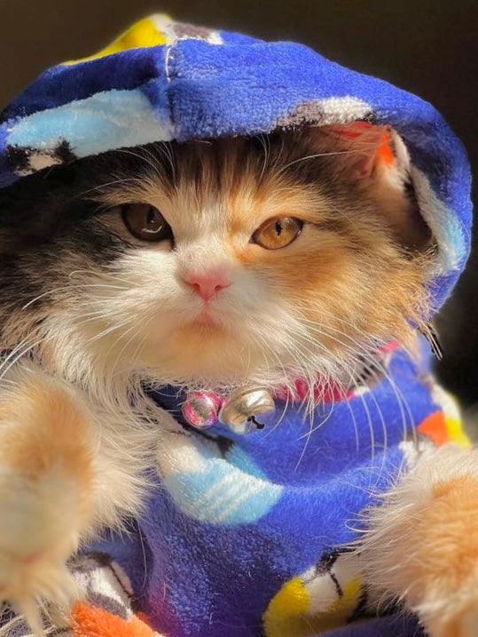 Football pet hoodie - pink