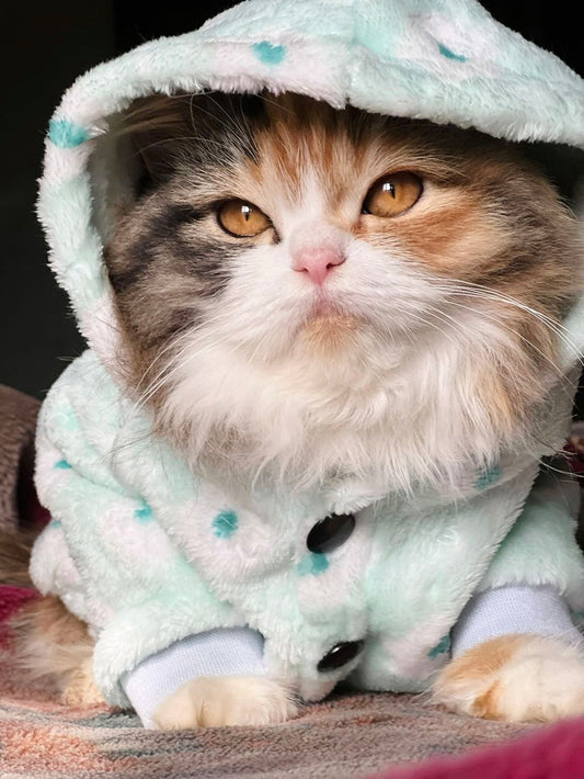 Atlantic pet hoodie ❄️